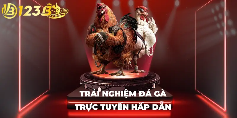 Trải nghiệm đá gà trực tuyến hấp dẫn